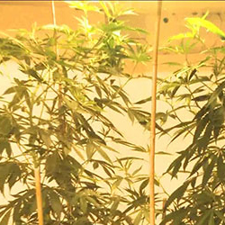 Partial Curl Ups Exercise