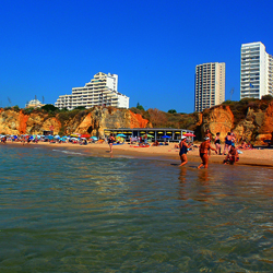 Partial Curl Ups Exercise